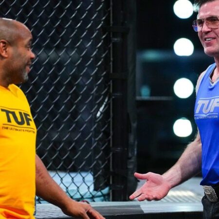 The Ultimate Fighter 33: Результаты четвертьфиналов и анонс полуфинальных поединков