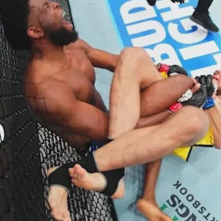 Медицинские отстранения бойцов после UFC Nashville