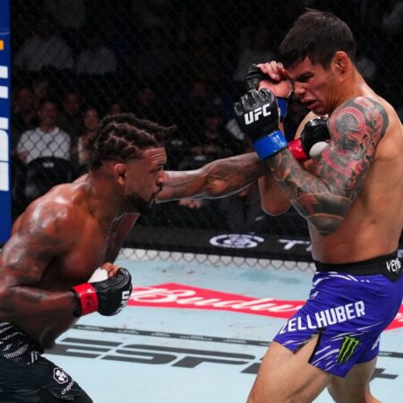 Превью боя Майкла Джонсона против Даниэля Зеллхубера на UFC 318