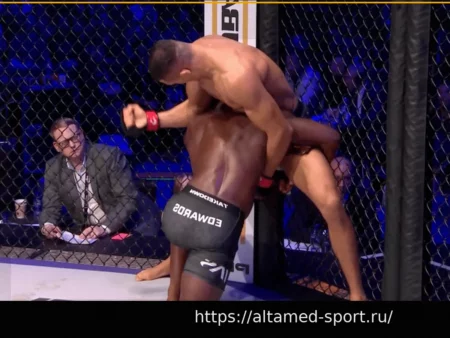 Нокаут! Ван Стеенис «усыпляет» Эдвардса брутальными локтями