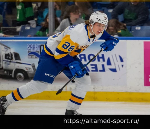 Подробный обзор выступлений проспектов «Ойлерз» в CHL в сезоне 2025-26