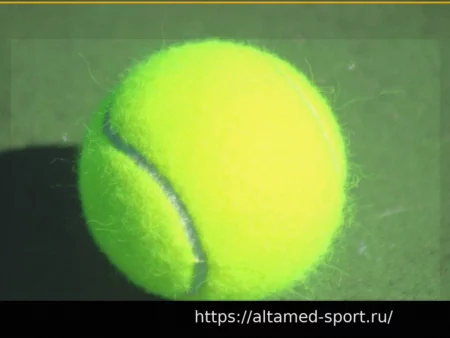 Теннисные Турниры: Призыв к Увеличению Мест Общего Доступа