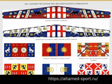 Возвращение к Борьбе: История Преодоления и Восстановления