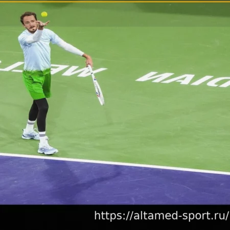 У тенниса возникла проблема с VAR