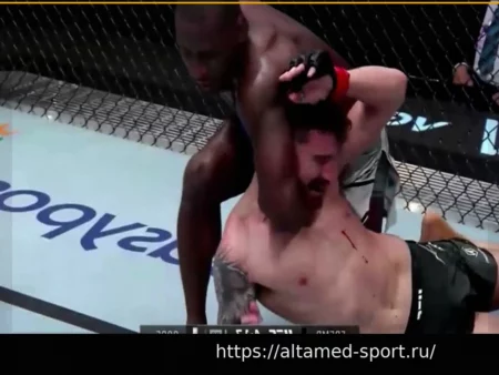 Выпускник Конеллсвилла Джош Фремд одержал победу нокаутом на турнире Professional Fighters League в университете Роберта Морриса