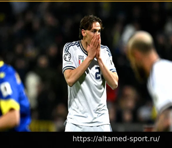 Парадокс Италии: выбыла от Боснии и не попала на Чемпионат мира, но поднялась в рейтинге ФИФА