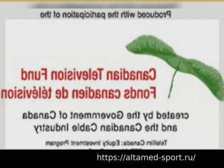 Монреаль Канадиенс: Будущее национального франкоязычного телеконтракта после 2026-27 остается неопределенным