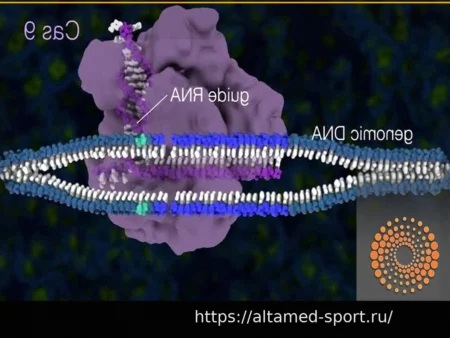 Алекс Овечкин: Продолжение Рекордной Серии на Закате Карьеры в НХЛ